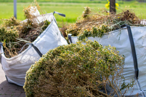 Best Shed Removal  in Madison, OH